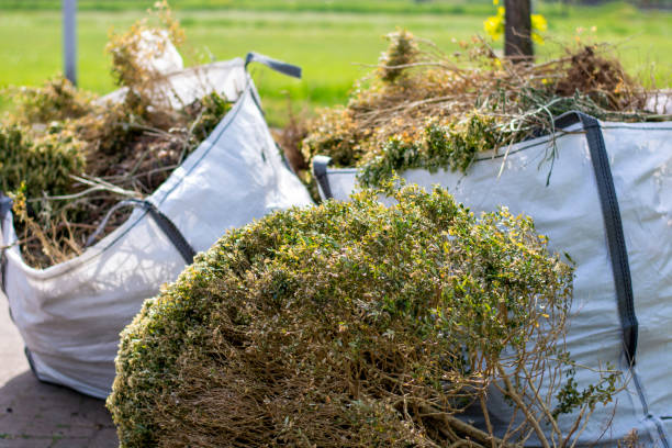 Best Dumpster Rental Services  in Wilmerding, PA
